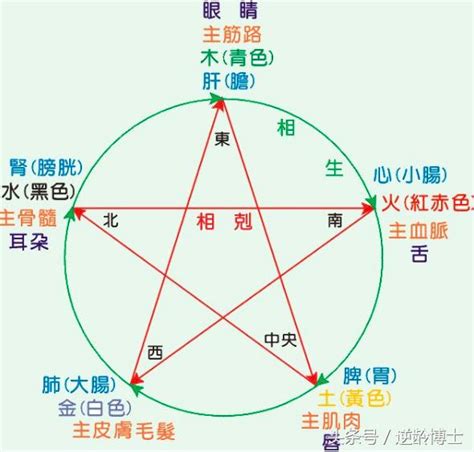 五行強弱|快速瞭解你的五行屬性